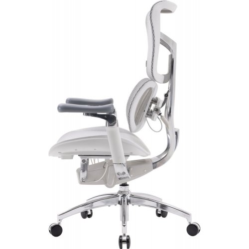 Купити Крісло офісне Sihoo DORO S300 Mesh (S300-M202) Light Grey - ціна в Києві, Львові, Вінниці, Хмельницькому, Франківську, Україні | інтернет-магазин TELEMART.UA фото
