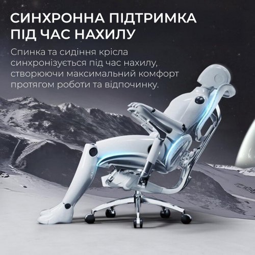 Купити Крісло офісне Sihoo DORO S300 Mesh (S300-M202) Light Grey - ціна в Києві, Львові, Вінниці, Хмельницькому, Франківську, Україні | інтернет-магазин TELEMART.UA фото