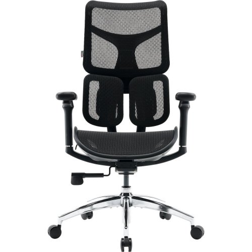 Купити Крісло офісне Sihoo DORO S100 Mesh (S100-M301) Black - ціна в Києві, Львові, Вінниці, Хмельницькому, Франківську, Україні | інтернет-магазин TELEMART.UA фото