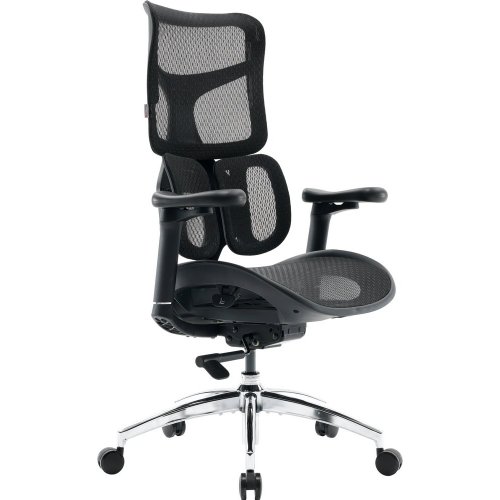 Купити Крісло офісне Sihoo DORO S100 Mesh (S100-M301) Black - ціна в Києві, Львові, Вінниці, Хмельницькому, Франківську, Україні | інтернет-магазин TELEMART.UA фото