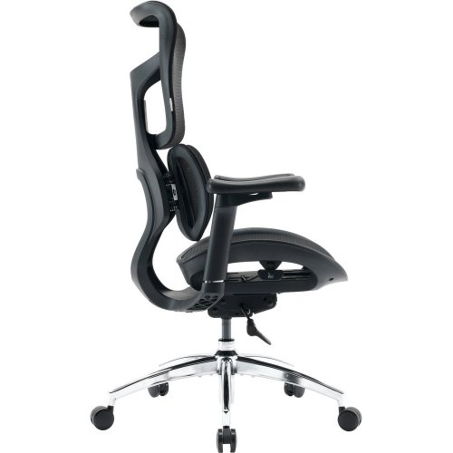 Купити Крісло офісне Sihoo DORO S100 Mesh (S100-M301) Black - ціна в Києві, Львові, Вінниці, Хмельницькому, Франківську, Україні | інтернет-магазин TELEMART.UA фото