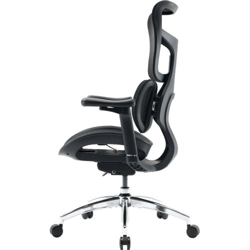 Купити Крісло офісне Sihoo DORO S100 Mesh (S100-M301) Black - ціна в Києві, Львові, Вінниці, Хмельницькому, Франківську, Україні | інтернет-магазин TELEMART.UA фото