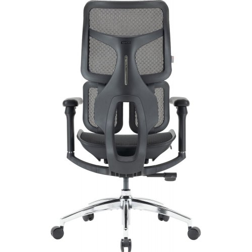 Купити Крісло офісне Sihoo DORO S100 Mesh (S100-M301) Black - ціна в Києві, Львові, Вінниці, Хмельницькому, Франківську, Україні | інтернет-магазин TELEMART.UA фото