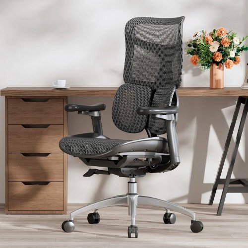 Купити Крісло офісне Sihoo DORO S100 Mesh (S100-M301) Black - ціна в Києві, Львові, Вінниці, Хмельницькому, Франківську, Україні | інтернет-магазин TELEMART.UA фото