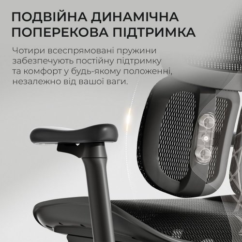 Купити Крісло офісне Sihoo DORO S100 Mesh (S100-M301) Black - ціна в Києві, Львові, Вінниці, Хмельницькому, Франківську, Україні | інтернет-магазин TELEMART.UA фото