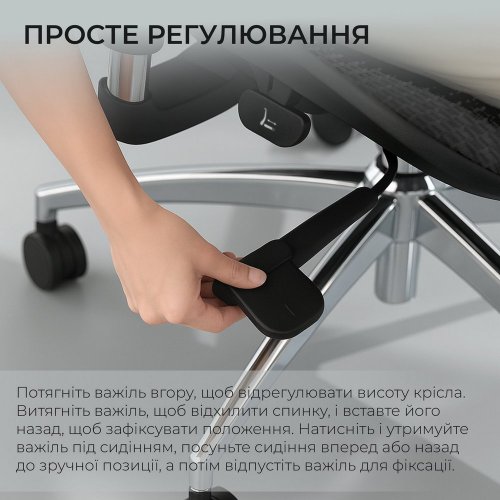 Купити Крісло офісне Sihoo DORO S100 Mesh (S100-M301) Black - ціна в Києві, Львові, Вінниці, Хмельницькому, Франківську, Україні | інтернет-магазин TELEMART.UA фото