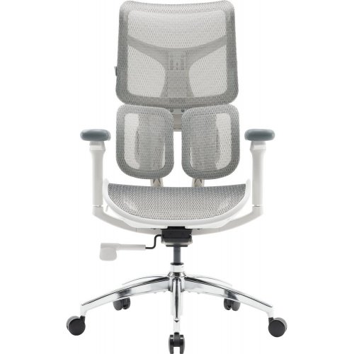 Купити Крісло офісне Sihoo DORO S100 Mesh (S100-M302) White - ціна в Києві, Львові, Вінниці, Хмельницькому, Франківську, Україні | інтернет-магазин TELEMART.UA фото