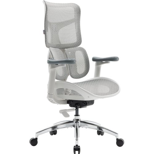 Купити Крісло офісне Sihoo DORO S100 Mesh (S100-M302) White - ціна в Києві, Львові, Вінниці, Хмельницькому, Франківську, Україні | інтернет-магазин TELEMART.UA фото