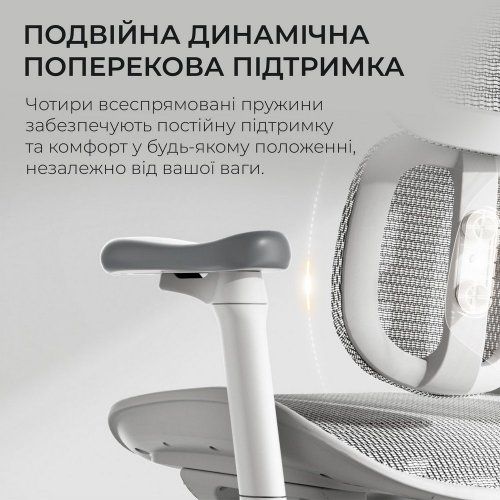Купити Крісло офісне Sihoo DORO S100 Mesh (S100-M302) White - ціна в Києві, Львові, Вінниці, Хмельницькому, Франківську, Україні | інтернет-магазин TELEMART.UA фото