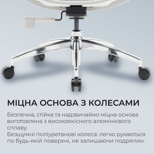 Купити Крісло офісне Sihoo DORO S100 Mesh (S100-M302) White - ціна в Києві, Львові, Вінниці, Хмельницькому, Франківську, Україні | інтернет-магазин TELEMART.UA фото