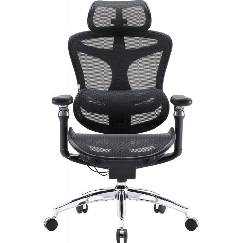 Купити Крісло офісне Sihoo DORO C300 Pro Mesh (DORO-C300-PRO-M101) Black - ціна в Києві, Львові, Вінниці, Хмельницькому, Франківську, Україні | інтернет-магазин TELEMART.UA фото