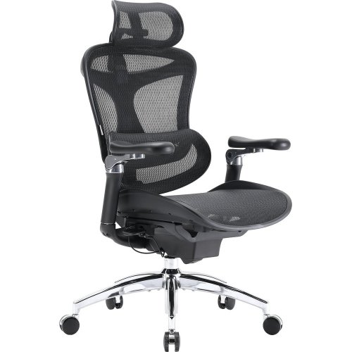 Купити Крісло офісне Sihoo DORO C300 Pro Mesh (DORO-C300-PRO-M101) Black - ціна в Києві, Львові, Вінниці, Хмельницькому, Франківську, Україні | інтернет-магазин TELEMART.UA фото