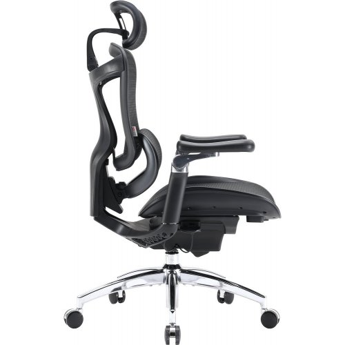 Купити Крісло офісне Sihoo DORO C300 Pro Mesh (DORO-C300-PRO-M101) Black - ціна в Києві, Львові, Вінниці, Хмельницькому, Франківську, Україні | інтернет-магазин TELEMART.UA фото