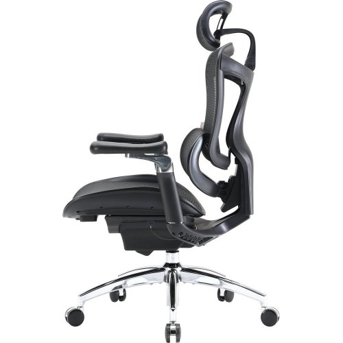 Купити Крісло офісне Sihoo DORO C300 Pro Mesh (DORO-C300-PRO-M101) Black - ціна в Києві, Львові, Вінниці, Хмельницькому, Франківську, Україні | інтернет-магазин TELEMART.UA фото