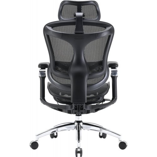 Купити Крісло офісне Sihoo DORO C300 Pro Mesh (DORO-C300-PRO-M101) Black - ціна в Києві, Львові, Вінниці, Хмельницькому, Франківську, Україні | інтернет-магазин TELEMART.UA фото