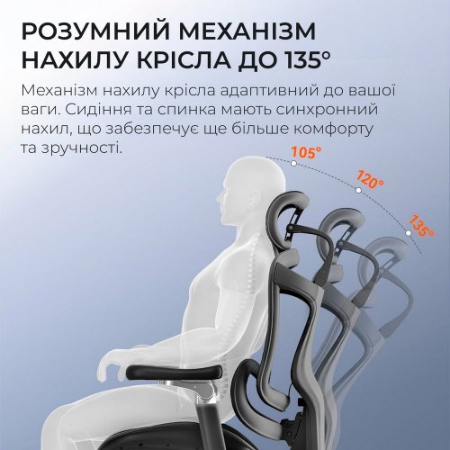 Купити Крісло офісне Sihoo DORO C300 Pro Mesh (DORO-C300-PRO-M101) Black - ціна в Києві, Львові, Вінниці, Хмельницькому, Франківську, Україні | інтернет-магазин TELEMART.UA фото