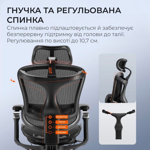 Купити Крісло офісне Sihoo DORO C300 Pro Mesh (DORO-C300-PRO-M101) Black - ціна в Києві, Львові, Вінниці, Хмельницькому, Франківську, Україні | інтернет-магазин TELEMART.UA фото