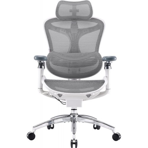 Купити Крісло офісне Sihoo DORO C300 Pro Mesh (DORO-C300-PRO-M102) White - ціна в Києві, Львові, Вінниці, Хмельницькому, Франківську, Україні | інтернет-магазин TELEMART.UA фото