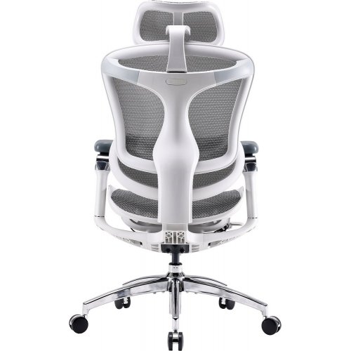 Купити Крісло офісне Sihoo DORO C300 Pro Mesh (DORO-C300-PRO-M102) White - ціна в Києві, Львові, Вінниці, Хмельницькому, Франківську, Україні | інтернет-магазин TELEMART.UA фото