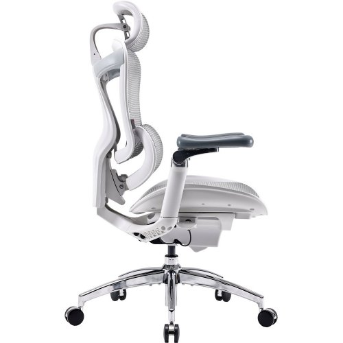 Купити Крісло офісне Sihoo DORO C300 Pro Mesh (DORO-C300-PRO-M102) White - ціна в Києві, Львові, Вінниці, Хмельницькому, Франківську, Україні | інтернет-магазин TELEMART.UA фото