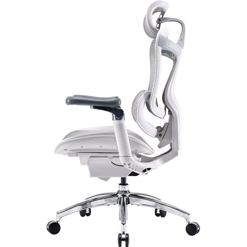 Купити Крісло офісне Sihoo DORO C300 Pro Mesh (DORO-C300-PRO-M102) White - ціна в Києві, Львові, Вінниці, Хмельницькому, Франківську, Україні | інтернет-магазин TELEMART.UA фото