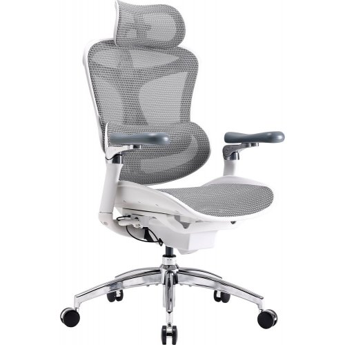 Купити Крісло офісне Sihoo DORO C300 Pro Mesh (DORO-C300-PRO-M102) White - ціна в Києві, Львові, Вінниці, Хмельницькому, Франківську, Україні | інтернет-магазин TELEMART.UA фото
