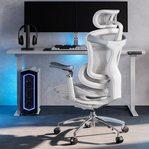Купити Крісло офісне Sihoo DORO C300 Pro Mesh (DORO-C300-PRO-M102) White - ціна в Києві, Львові, Вінниці, Хмельницькому, Франківську, Україні | інтернет-магазин TELEMART.UA фото