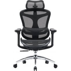 Офисное кресло Sihoo DORO C300L Mesh (DORO-C300L-A3-101) Black