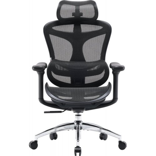 Купити Крісло офісне Sihoo DORO C300L Mesh (DORO-C300L-A3-101) Black - ціна в Києві, Львові, Вінниці, Хмельницькому, Франківську, Україні | інтернет-магазин TELEMART.UA фото