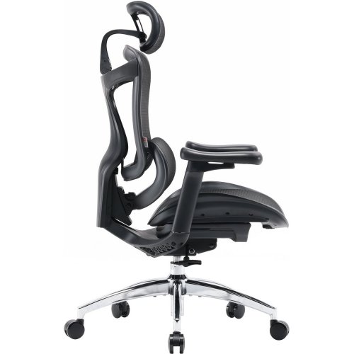 Купити Крісло офісне Sihoo DORO C300L Mesh (DORO-C300L-A3-101) Black - ціна в Києві, Львові, Вінниці, Хмельницькому, Франківську, Україні | інтернет-магазин TELEMART.UA фото