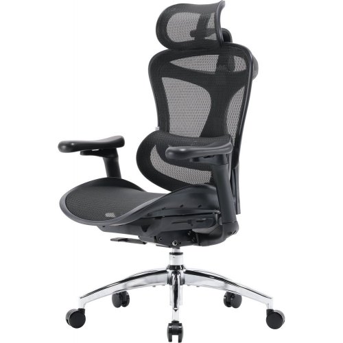 Купити Крісло офісне Sihoo DORO C300L Mesh (DORO-C300L-A3-101) Black - ціна в Києві, Львові, Вінниці, Хмельницькому, Франківську, Україні | інтернет-магазин TELEMART.UA фото