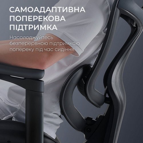 Купити Крісло офісне Sihoo DORO C300L Mesh (DORO-C300L-A3-101) Black - ціна в Києві, Львові, Вінниці, Хмельницькому, Франківську, Україні | інтернет-магазин TELEMART.UA фото
