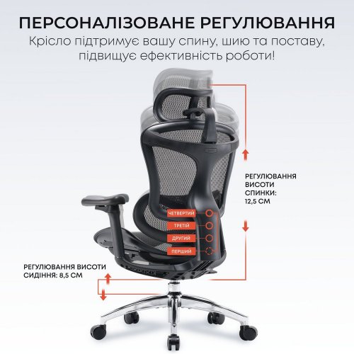 Купити Крісло офісне Sihoo DORO C300L Mesh (DORO-C300L-A3-101) Black - ціна в Києві, Львові, Вінниці, Хмельницькому, Франківську, Україні | інтернет-магазин TELEMART.UA фото