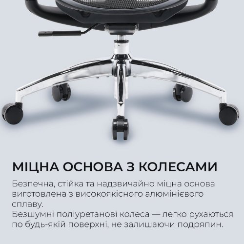 Купити Крісло офісне Sihoo DORO C300L Mesh (DORO-C300L-A3-101) Black - ціна в Києві, Львові, Вінниці, Хмельницькому, Франківську, Україні | інтернет-магазин TELEMART.UA фото