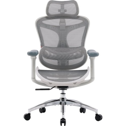 Купити Крісло офісне Sihoo DORO C300L Mesh (DORO-C300L-A3-102) White - ціна в Києві, Львові, Вінниці, Хмельницькому, Франківську, Україні | інтернет-магазин TELEMART.UA фото