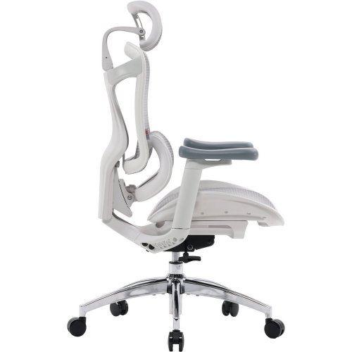 Купити Крісло офісне Sihoo DORO C300L Mesh (DORO-C300L-A3-102) White - ціна в Києві, Львові, Вінниці, Хмельницькому, Франківську, Україні | інтернет-магазин TELEMART.UA фото