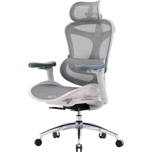 Купити Крісло офісне Sihoo DORO C300L Mesh (DORO-C300L-A3-102) White - ціна в Києві, Львові, Вінниці, Хмельницькому, Франківську, Україні | інтернет-магазин TELEMART.UA фото