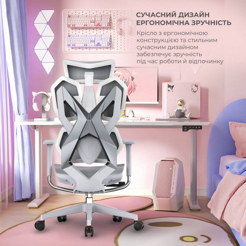 Купить Эргономичное кресло Sihoo X5C Mesh (X5FC-N101) Grey - цена в Харькове, Киеве, Днепре, Одессе
в интернет-магазине Telemart фото