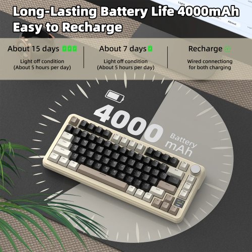 Клавіатура Attack Shark X85 Pro RGB Linear Blueberry Switch Wireless (AS-6972792470368-CW) Cheese White купити в Україні: Київ, Львів, Хмельницький, Тернопіль | Низька ціна, відгуки, характеристики від TELEMART фото