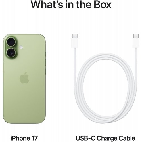 Смартфон Apple iPhone 17 256GB (MG6N4AF/A) Sage купити в Україні: Київ, Львів, Хмельницький, Тернопіль | Низька ціна, відгуки, характеристики від TELEMART фото