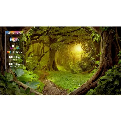 Телевизор TCL 98" 98C855 Black купить в Украине: Киев, Днепр, Харьков, Одесса  | Низкая цена, отзывы, характеристики от TELEMART фото