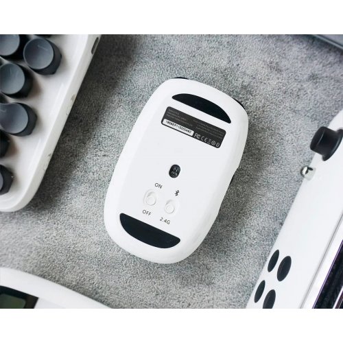 Миша Lofree EP115 Wavy Chips Wireless (LO-6922694811523) White купити в Україні: Київ, Львів, Хмельницький, Тернопіль | Низька ціна, відгуки, характеристики від TELEMART фото