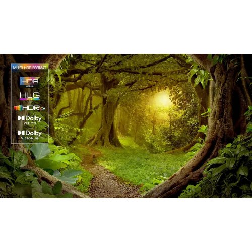 Телевізор TCL 55" 55MQLED85 Black купити в Україні: Київ, Львів, Хмельницький, Тернопіль | Низька ціна, відгуки, характеристики від TELEMART фото