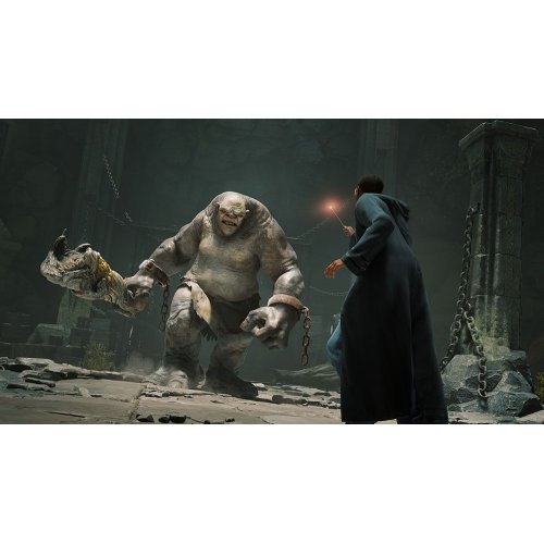 Игра Hogwarts Legacy Deluxe Edition (Nintendo Switch) (5051895415597) купить в Украине: Киев, Днепр, Харьков, Одесса  | Низкая цена, отзывы, характеристики от TELEMART фото