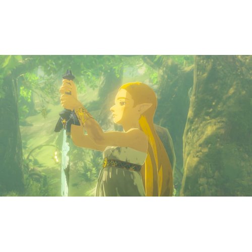 Гра The Legend of Zelda: Breath of the Wild (Nintendo Switch 2) (0045496312664) купити в Україні: Київ, Львів, Хмельницький, Тернопіль | Низька ціна, відгуки, характеристики від TELEMART фото
