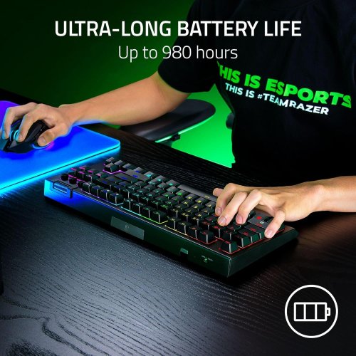 Клавиатура Razer BlackWidow V4 TKL Low Profile Yellow Linear Mechanical Switch (RZ03-05450100-R3M1) Black купить в Украине: Киев, Днепр, Харьков, Одесса  | Низкая цена, отзывы, характеристики от TELEMART фото