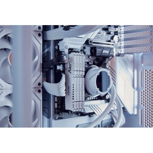 ОЗУ Kingston DDR5 16GB 6000Mhz FURY Beast White (KF560C36BWE2-16) купить в Украине: Киев, Днепр, Харьков, Одесса  | Проверка совместимости, низкая цена, отзывы, характеристики от TELEMART фото
