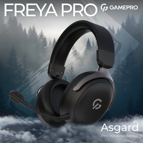 Наушники GamePro Asgard Freya Pro Wireless (HSW201B) Black купить в Украине: Киев, Днепр, Харьков, Одесса  | Низкая цена, отзывы, характеристики от TELEMART фото