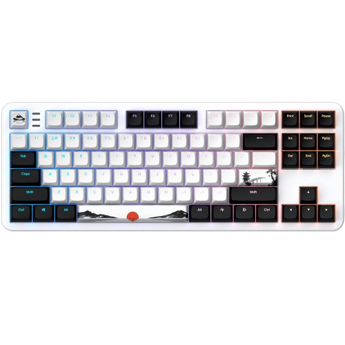 Клавіатура Dark Project 87 Fuji V2 RGB Mech G3MS Sapphire (DPKB_FUJI_87_ANSI_UA) White/Black купити в Україні: Київ, Львів, Хмельницький, Тернопіль | Низька ціна, відгуки, характеристики від TELEMART фото