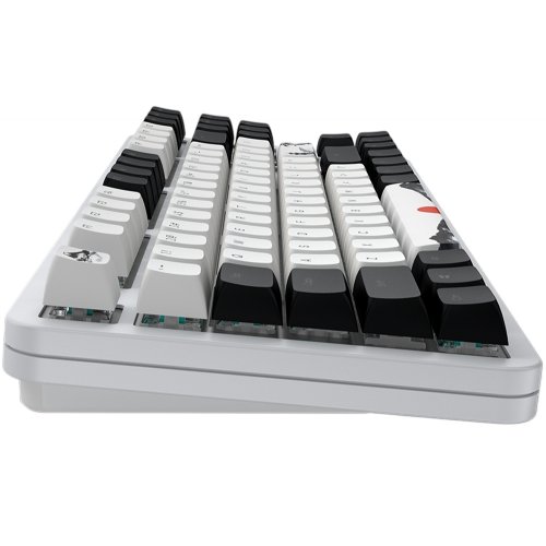Клавіатура Dark Project 87 Fuji V2 RGB Mech G3MS Sapphire (DPKB_FUJI_87_ANSI_UA) White/Black купити в Україні: Київ, Львів, Хмельницький, Тернопіль | Низька ціна, відгуки, характеристики від TELEMART фото